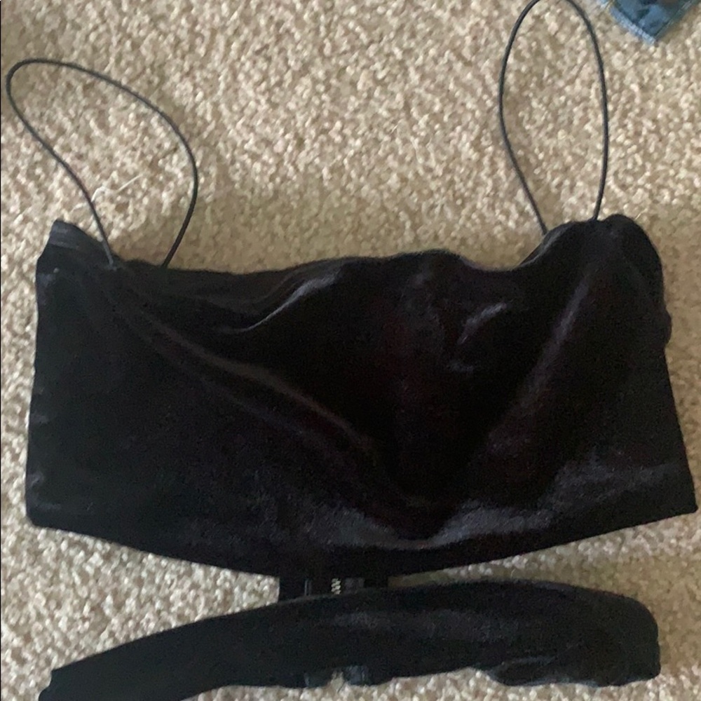 tiger mist black velvet cropped top